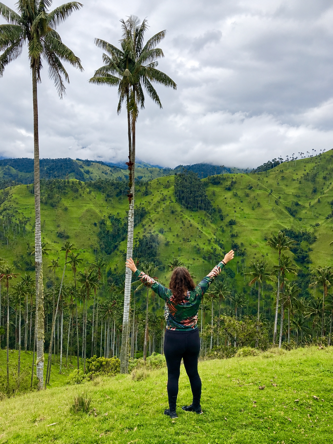 La Carbonera, forêt de palmiers à cire en Colombie.